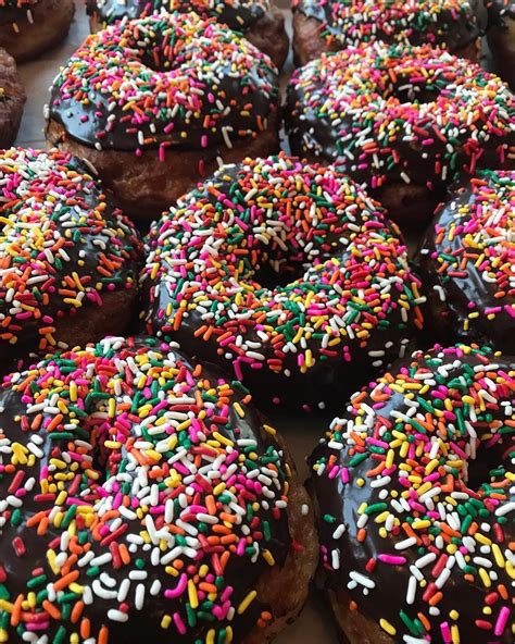 Sometimes Ya Just Need A Simple Chocolate Sprinkled Donut PVDonuts