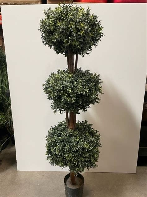 Boxwood 3 Sphere Topiary Tree 60