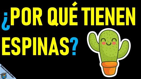 1.constituyen un sistema defensivo altamente preparado para su funcion. ¿Por qué los Cactus tienen espinas? ¿Para qué Sirven ...