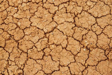 Premium Photo Nature Cracked Dry Lands Natural Texture Of Soil With