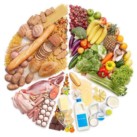 Bioactive recipe for every stage of your dog's life, from puppy to adult. How Long Does It Take to Digest Food? 6 Stages of Digestion
