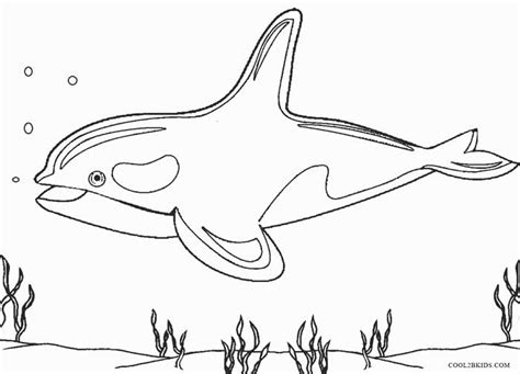 Printable Whale Coloring Pages For Kids | Cool2bKids