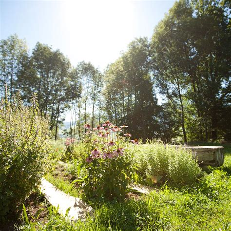 Finden sie bei plantopedia alle wissenswerten fakten rund um dieses thema. Kräutergarten - Naturhautnah - Metzler Molkeprodukte