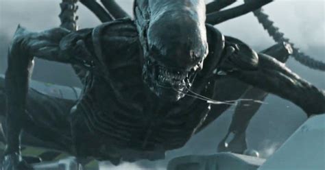 The path to paradise begins in hell.. Film Review - Alien: Covenant (2017) | MovieBabble