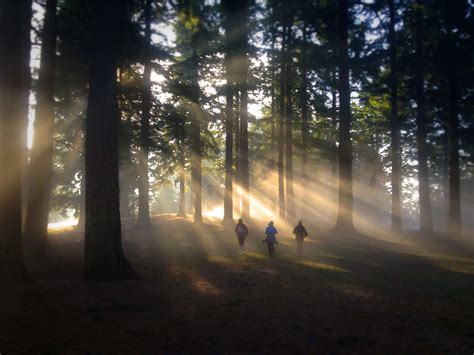 A Map of Portland's Urban Volcano - Mt. Tabor • Mad Bird Design