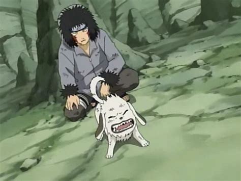 Anime Galleries dot Net - Inuzuka Kiba & Akamaru/naruto kiba0142 Pics, Images, Screencaps, and Scans