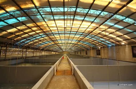 Select the right location for fish farming Tips for starting an indoor fish farm