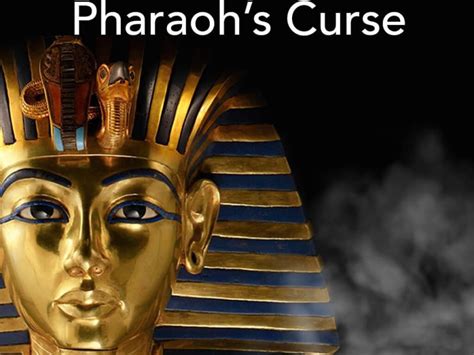 the pharaoh s curse ancient egypt tours