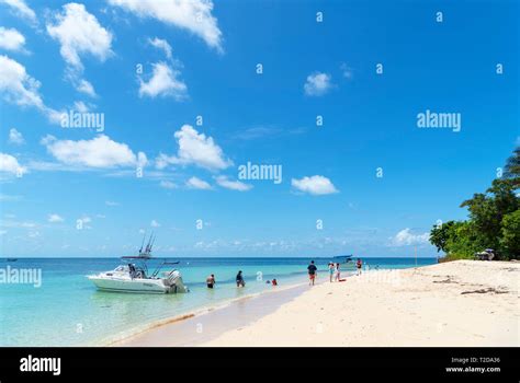 La Grande Barriera Corallina In Australia Sulla Spiaggia Di Isola