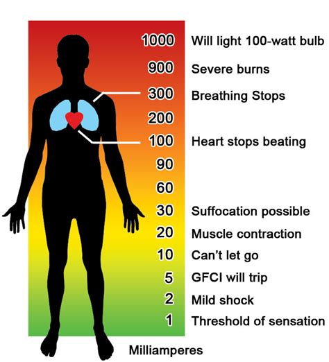 How Electricity Affects Your Body Testguy Electrical Testing And