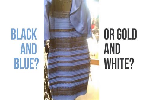 Black And Blue Dress Explained