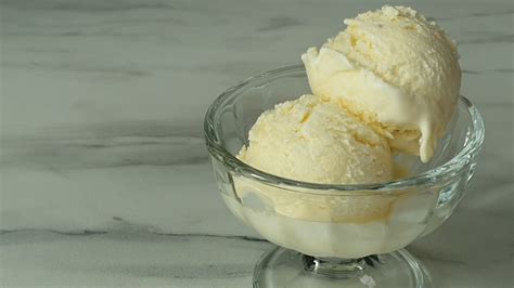 Low Fat Vanilla Bean Frozen Yogurt Recipe
