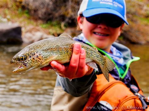 What kind of fish is stocked in lake windsor. What Kinds of Fish Are in Apple Valley Lake OH?