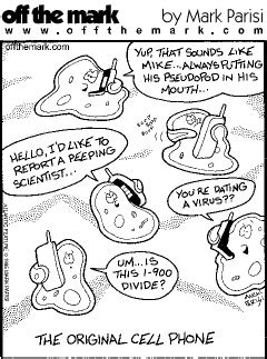 Check spelling or type a new query. 478 best Cells, Cells, Cells images on Pinterest | Biology ...