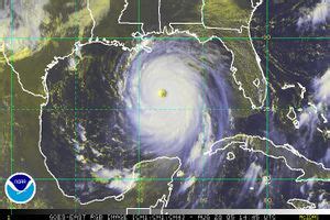 Learn about hurricane katrina with free interactive flashcards. Hurricane Katrina - The TSP Survival Wiki