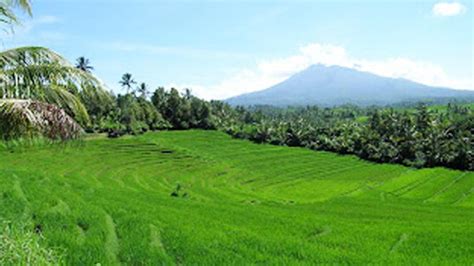 Kekayaan Alam Indonesia yang Melimpah - Citizen6 Liputan6.com