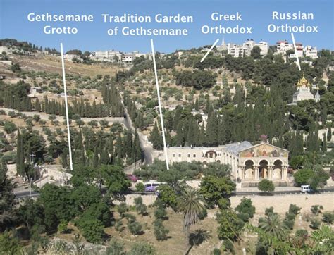 Church of saint alexander nevskiy (israel, jerusalem). Garden of Gethsemane, Israel 2019