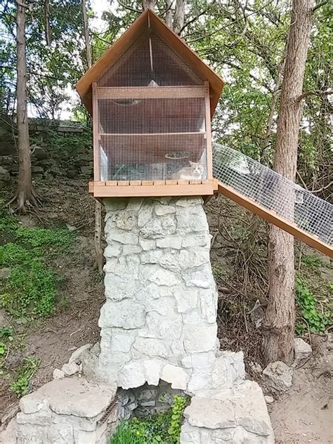 Another Awesome Outdoor Cat Enclosure Cuckoo4design