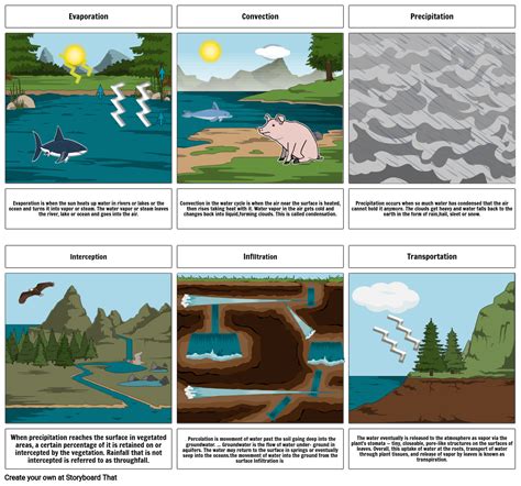 Water Cycle Storyboard By 7bf6406d