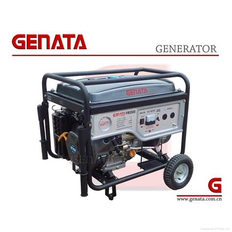 Japan Brand Genata 100 Copper Gasoline Generator Gr5500 Genata