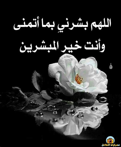 صور دينية , اجمل الصور الدينية رائعة دلع ورد