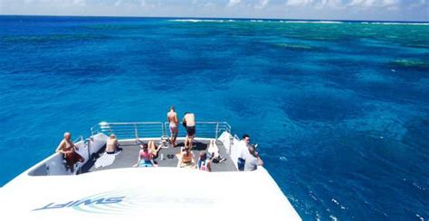 Great Barrier Reef Snorkel And Dive Full Day Adventure Getyourguide