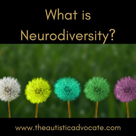 What Is Neurodiversity