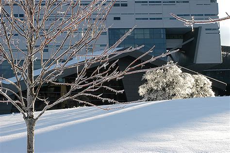 Winter Scenes University Of Cincinnati