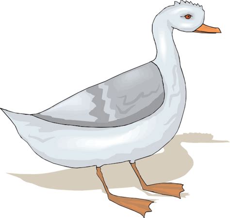 Turkeys clipart goose, Turkeys goose Transparent FREE for download on WebStockReview 2020