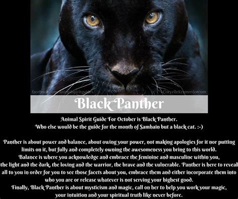 Meaning Of Black Panther Spirit Guide Spiritguides Animalspiritguides