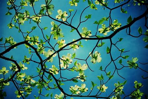 We're passionate about finding wall coverings that transform into an expression of your unique taste and style. Unique Desktop Backgrounds (60+ images)