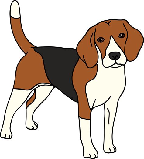 Beagle Vector Dog Beagle Clipart Png Transparent Png Full Size