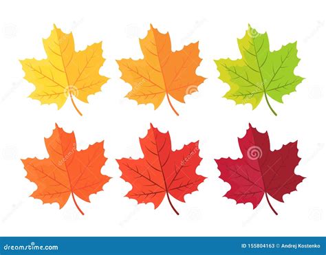 Autumn Background With Leaves Maple Leaf In Red Yellow Brown And Green