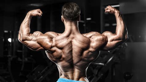 7 Best Back And Biceps Workouts For Strength And Mass Fitness Volt