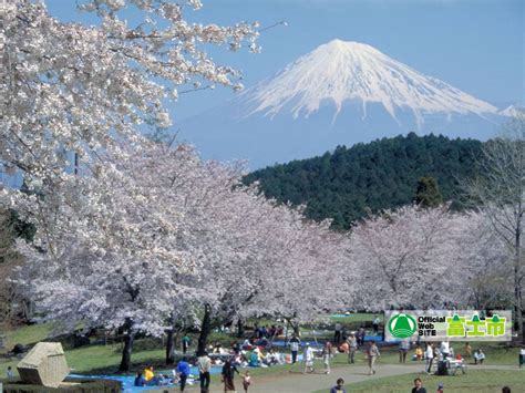 Núi Fuji Danh Thắng Thiên Nhiên Ban Tặng Cho đất Nước Nhật Bản Thidisg