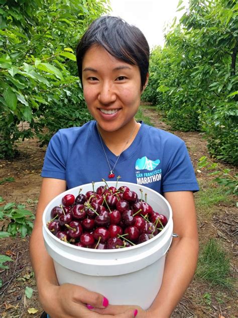 Tips For Cherry Picking Season In Brentwood California