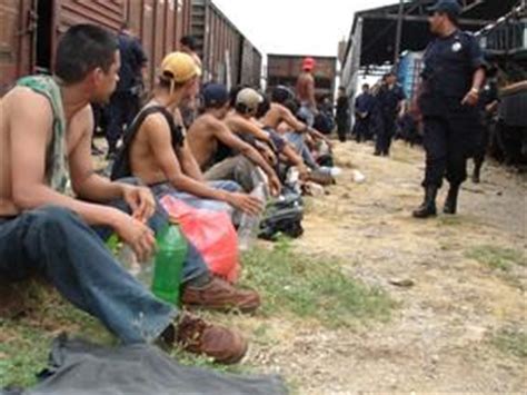 The process of animals travelling to a different place, usually when the season changes: LA MIGRACION | ARMANDO'S BLOG