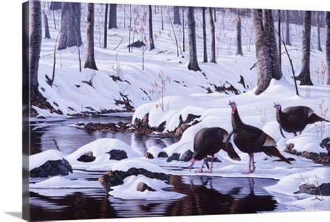 hardwood creek wild turkeys wall art canvas prints framed prints wall peels great big canvas