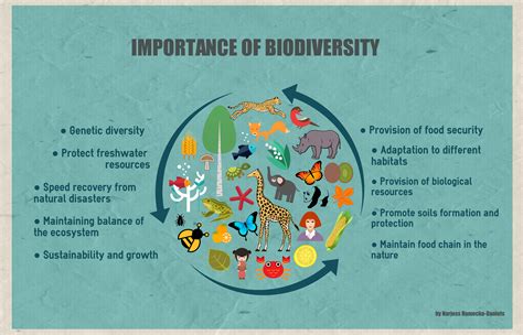 The Importance Of Biodiversity Biodiversity Infographic