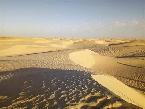 Sahara Desert Tozeur 2022 What To Know Before You Go