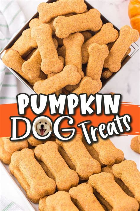 It Is So Easy To Make These Tasty Pumpkin Dog Treats Using Only Healthy