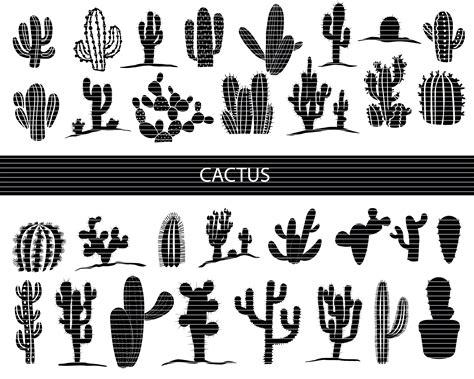 Cactus Svg Bundle Cactus Cricut Cactus Silhouette Cactus Etsy
