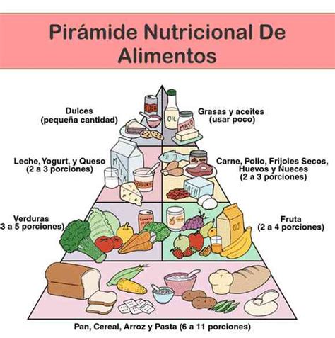 Piramide De Alimentos Nutricional Alimentacion Grupos De Alimentos