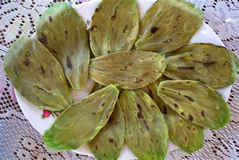 He has been on insulin for years just like you were. Grilled Nopales (Cactus Leaves) Recipe