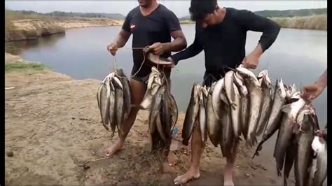 Kerala Fishing വാള Youtube