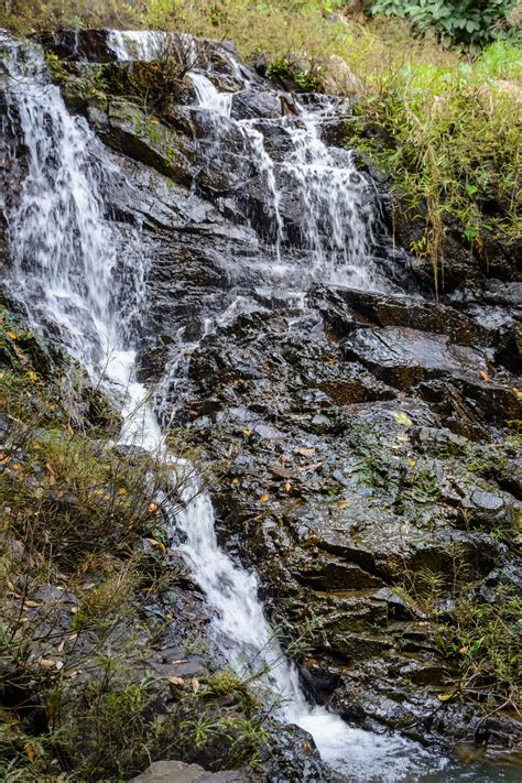 Premium Photo The Beautiful Waterfalls Rapids And Mountain Streams