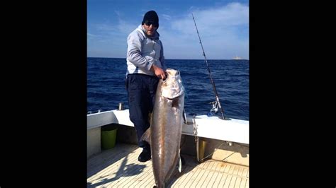 Foods, exercise and other daily habits effect everyone differently. Croatia Big Game Fishing Jigging Amberjack - 28 kg/62 ...