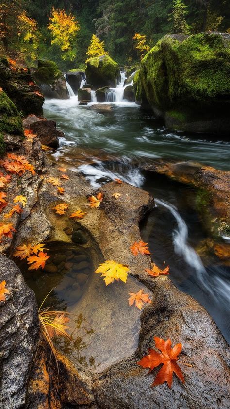 Landscape Forest Leaves Waterfall Water Rock Nature Reflection