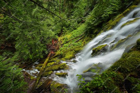 Premium Photo Proxy Falls Oregon