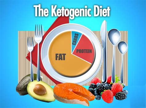 What is the high protein ketogenic diet? ketogenic-diet â Fitso | Re-Defining Sports